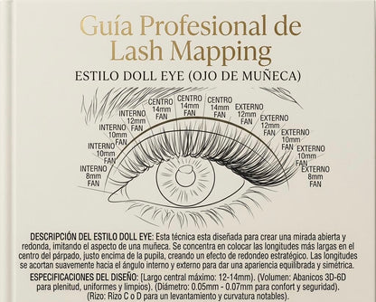 Guía profesional mapeo de pestañas